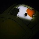 하우스인어스 | 2023년 1월 중순 제주 겨울 한라산 혼자 여행 1일차 - 우진해장국, 오르다하우스, 턴스톡스, 도시, 스몰...