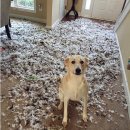 마니PC | [방탈출] 코드이스케이프 가로수길점 <(수)산업스파이> 후기