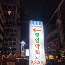 인계동 오늘도막회 이자카야 술집 추천 수원시청역 가성비 횟집 내돈내산 솔직후기