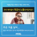 MTA그린태권도