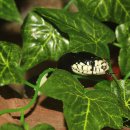 세보한의원 이미지