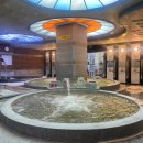 스파렉스 이미지