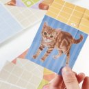 종이접기 NEW 이미지