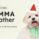 도그어스 플래닛 이미지