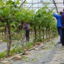 대신동 주민센터 이미지