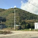 청도여행자센터 | 울산 근교 캠핑장 청도 팜스토리 애견 동반 노지 캠핑 야영장 8번 사이트