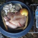 아지트지(G) 이미지