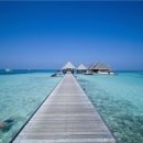 몰디브 이미지