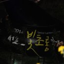 2014 서울 빛초롱축제(1) 이미지