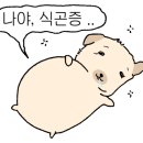 혜자로운수산