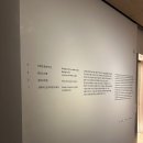 서울 전시회 후기 2탄: 리움 미술관 상설전 소장품 (고미술), 갈라 포라스-김:국보