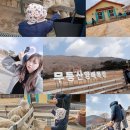 금호목장 이미지