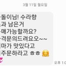 이정미농장 2 | 신품종 수라향(설국향) 판매종료