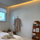 슈가몽 애견펜션 이미지