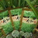 파주유황삼채 이미지