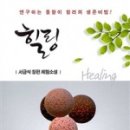 일출민박 이미지