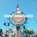 맑은운동화 | 샌프란시스코 날씨, 맑은 하늘에 갑분 안개? 변덕이 심해도 너무 심합니다.