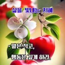 불로초등학교 이미지