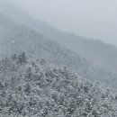 해피애견왕국 | 12월의 설악 속초여행, 눈 없는 겨울 바다