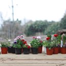 그린승마랜드 이미지