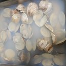 백합 티스토리