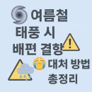 태풍센터근처 | 🌪️ 여름철 태풍 시 배편 결항 시 대처 방법 총정리