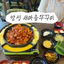 새마을당구장 | [안성] 안성 쭈꾸미 맛집 <새마을쭈꾸미> 직화 쭈꾸미 볶음밥 솔직후기