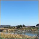 쿤스트베이커리카페 이미지