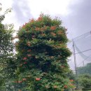삼구골프클럽