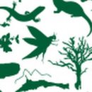 지오2길 이미지