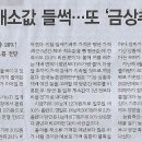 나라공인중개사