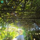 마스터어학원 | 바기오 JIC어학원 프리미엄 캠퍼스 시설 및 식사 실제 경험 후기!