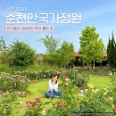 순천만의 추억 | 순천여행 순천만국가정원 친구들과 추억 남기기 좋은 곳