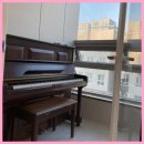 꿈을 키우는 도시 | 다산실용음악학원 음악의 꿈을 키우는 그루비뮤직아카데미 후기