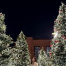 광산구-108 | 광주 광산구 크리스마스 트리가 있는 베이커리 카페, 더비