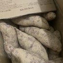 띵동유통