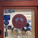 용이초밥 | 부산 사상역 회전초밥 용이초밥 후기🍣