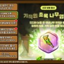 쿠키나무