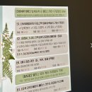 미엘에스테틱 | 학익동 등관리와 체형관리로 완성한 건강한 등라인, “미엘에스테틱” 에석 등관리 받은 후기