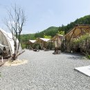 클럽프리모 이미지