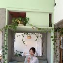 감성포토36.5 | 제주도에서 사진이 가장 잘나오는 사진맛집 감성카페, 여름정원 (포토스팟 추천)