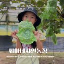 금곡18통 마을회관 | 진주 금곡 아이와갈만한곳 샤인머스켓 체험 세아네샤인농장