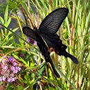 천천 공인중개사사무소 이미지