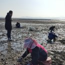 천수만민박 이미지