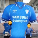 삼성 | 수원월드컵경기장 수원삼성 축구 경기 직관 후기
