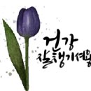88보링 이미지