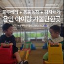 백용기농장 | 용인 아이들이랑 하루 종일 놀기 좋은 곳, 헤븐온어스 블루베리 체험농장 다녀왔어요