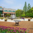 부천자연생태공원 이미지