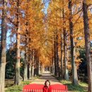 전남 산림 연구원 이미지