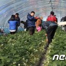 옥종농장 이미지